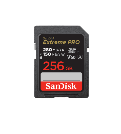 CART SD SANDISK 256 GB